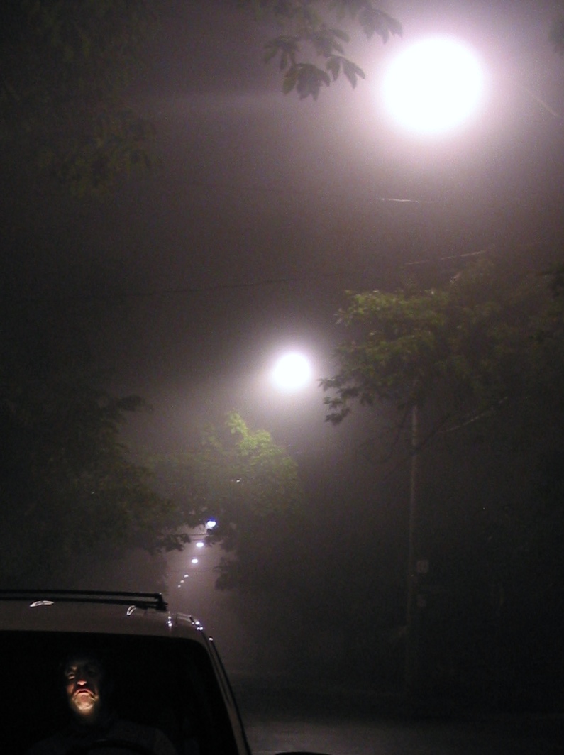 Man in van photograph